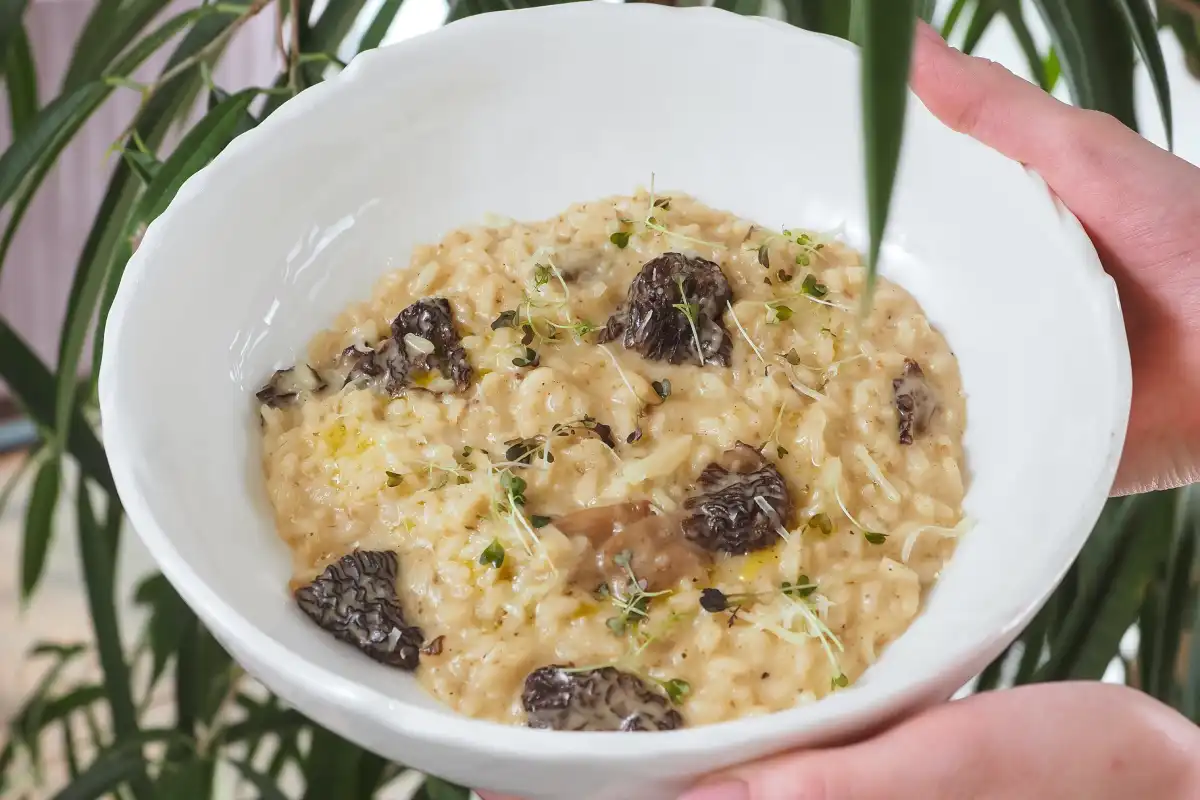 Soup with creamy risotto and morel mushrooms garnished with thyme, held in a white bowl.