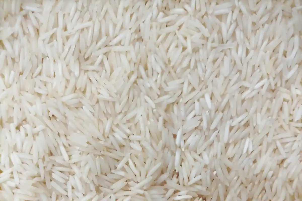 Close-up of uncooked Indian Basmati Rice, presented as an international alternative to pastina.