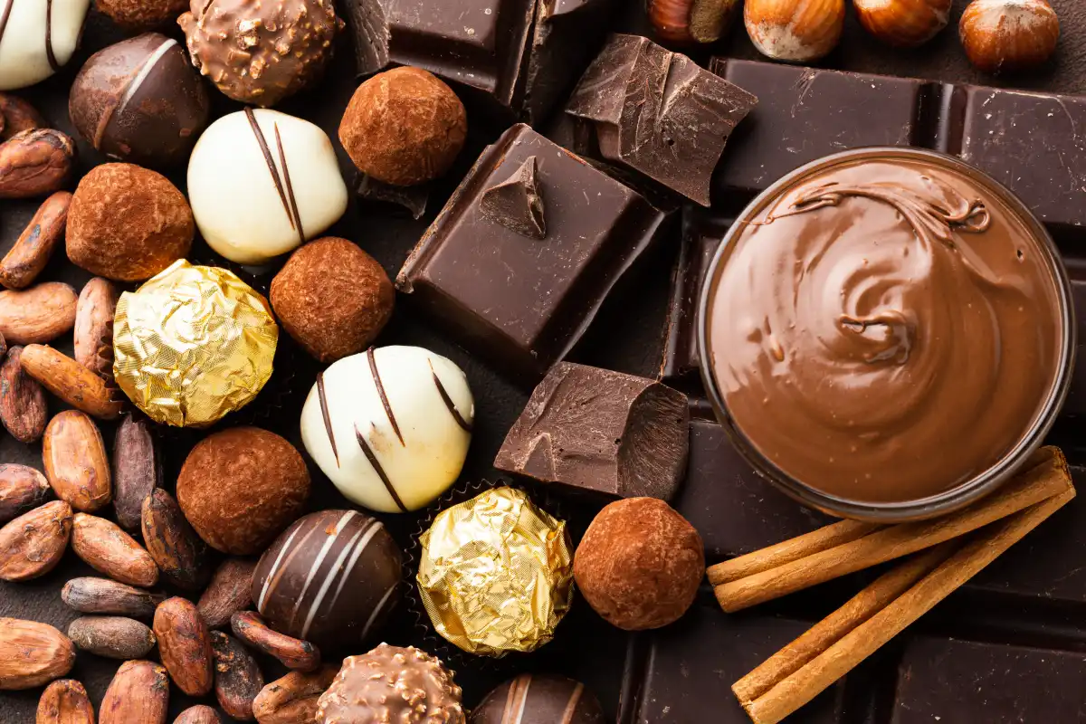 Assorted Swiss chocolate collection with truffles, dark and white chocolate pieces, and a bowl of melted chocolate.