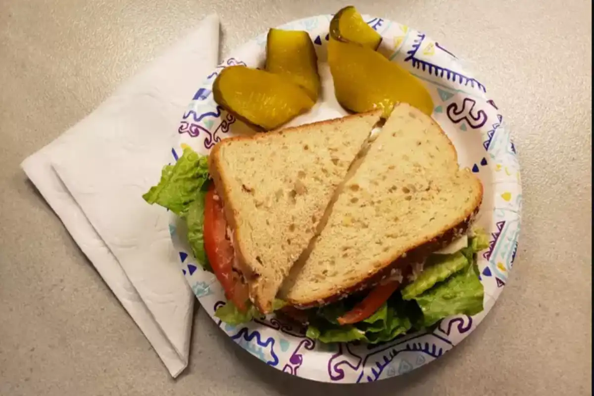A fresh and appetizing Barbie's Tuna Salad sandwich served on multi-grain bread with lettuce and tomato, accompanied by a side of pickled cucumbers on a decorative paper plate.