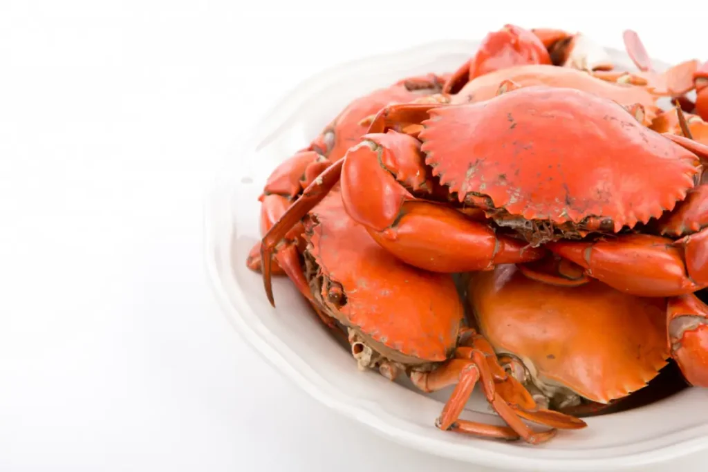 Cooked steamed crabs on a white plate, ingredients for Phillips Crab Cakes air fryer recipe