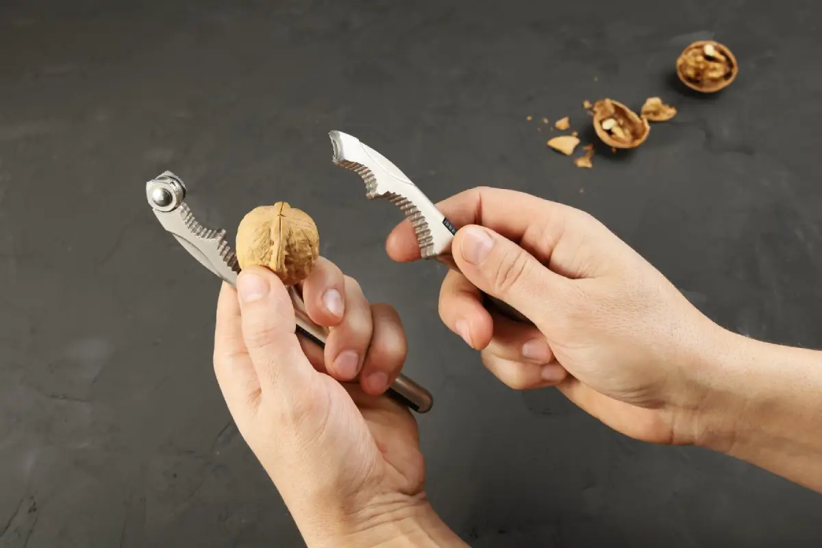 Hands using a nutcracker to open a walnut, illustrating the proper selection and use of a the tool.