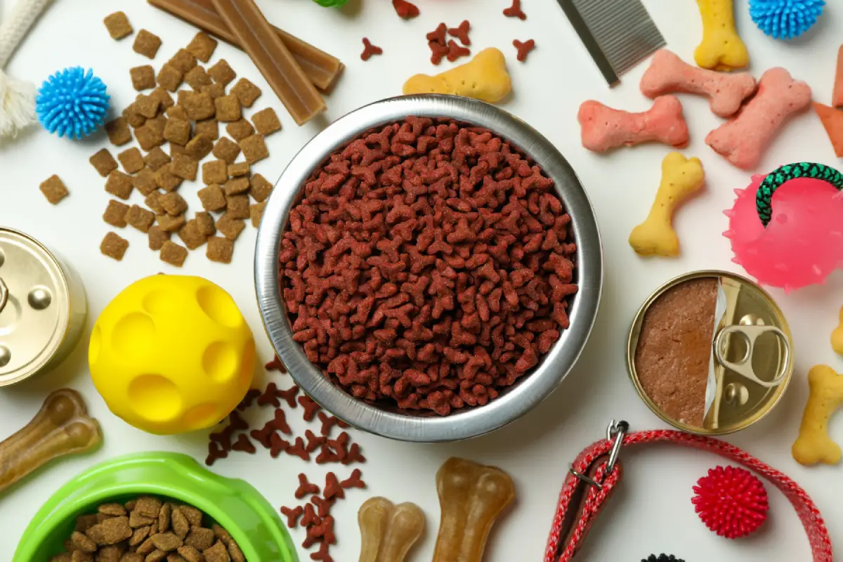 Assorted dog treats and toys arranged around a bowl of dog food.