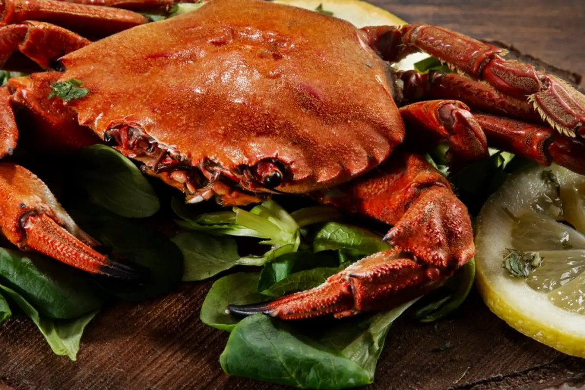 Fresh whole crab on a bed of greens with lemon