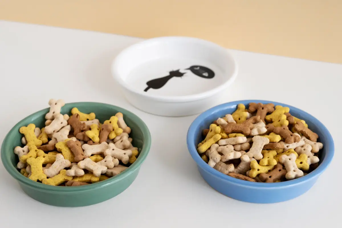 can dogs eat black olives: Two bowls filled with dog treats next to a water bowl, representing a variety of dog-friendly snack options. 