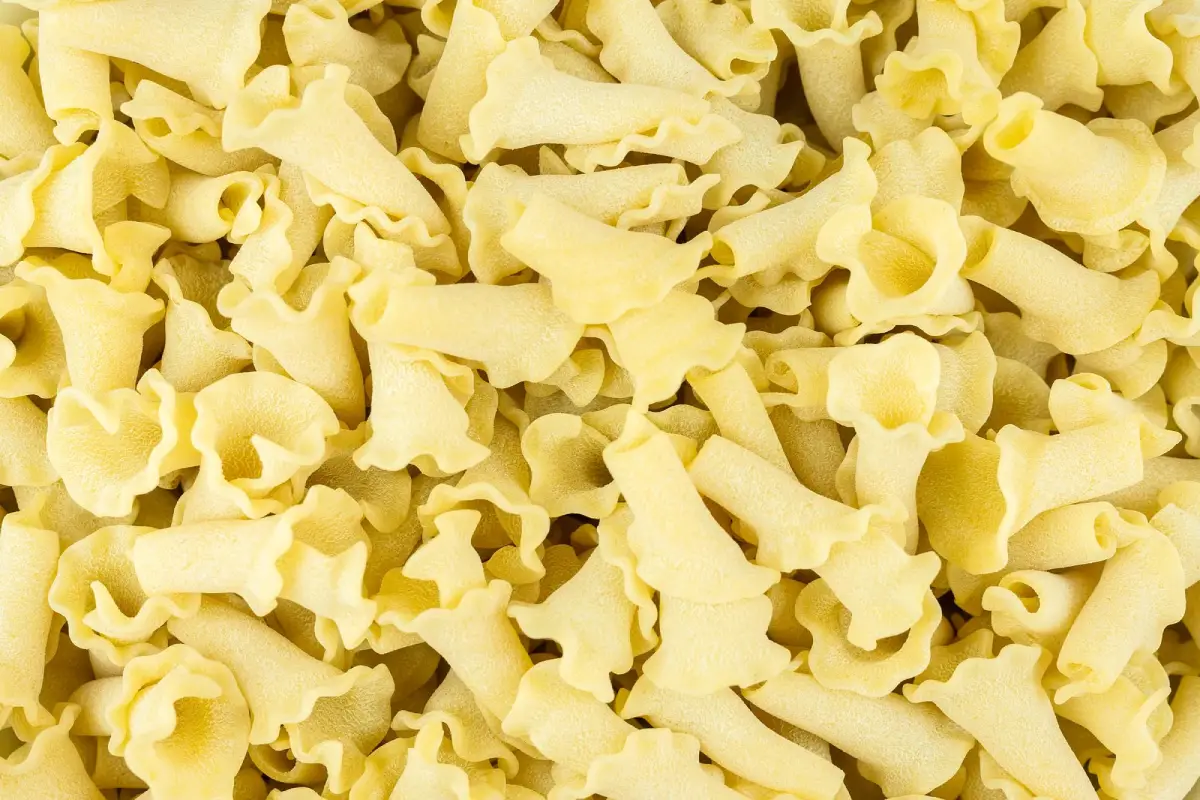 Uncooked Campanelle pasta up close.