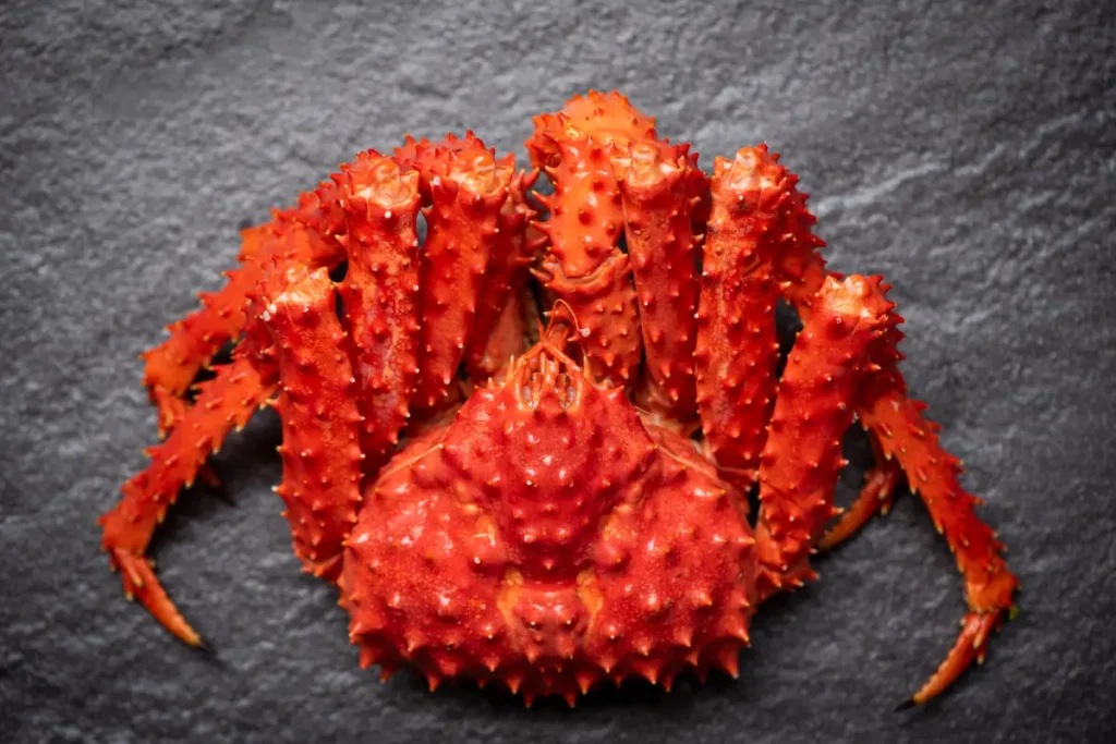 Whole King Crab Culinary Guide - Image of a cooked whole king crab served on a platter with lemon wedges and melted butter.